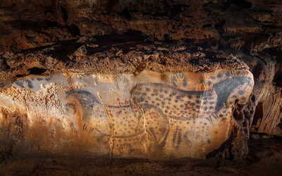 Image du projet La Maternelle de Montpezat à la Grotte de Pech Merle