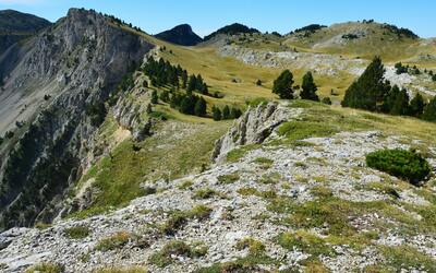 Image du projet Classe rousse dans le Vercors