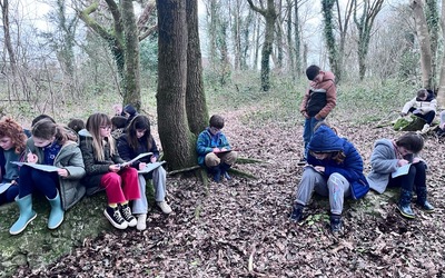 Image du projet L'aire éducative du bois des roches gérée par les CE2-CM1 bilingues de Loperhet