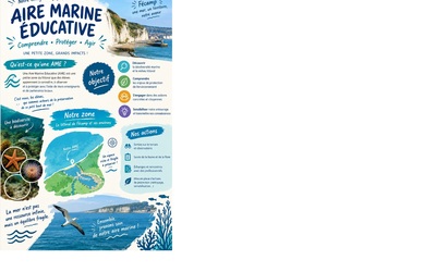 Image du projet Aire Educative Marine La Providence Fécamp