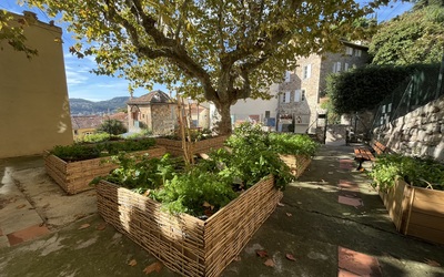 Image du projet ATE Jardin médiéval de Hyères
