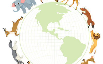 Image du projet Voyage dans le monde des animaux