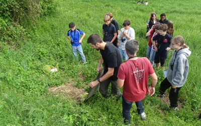 Image du projet ATE Coulée verte