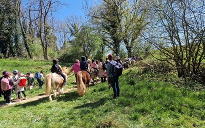 Image du projet Tous les CP de Le Notre à poney.