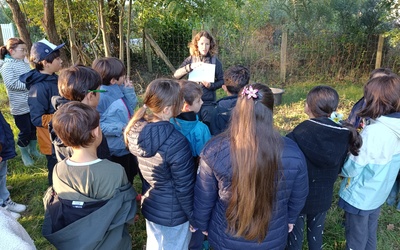 Image du projet ATE école Victor HUGO SURZUR