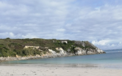 Image du projet Une Aire Marine Educative à Camaret-sur-mer !