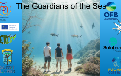 Image du projet Les Gardiens de la Mer