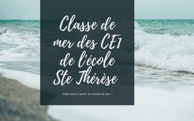 Image du projet Les CE1 de Ste Thérèse en classe de mer à Taussat 