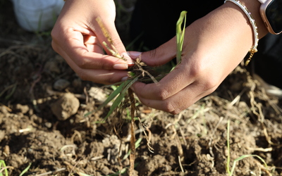 Image du projet Nature en vue ! 