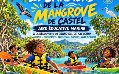 Image du projet Les gardiens de la Mangrove de Castel