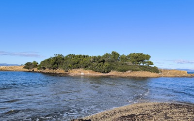 Image du projet Les petits gardiens de Porquerolles : naissance d'une mer protégée.