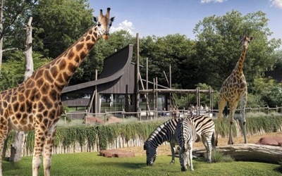 Image du projet Classe découverte des CM : zoo de La Flèche et Clos Lucé