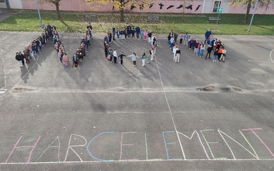 Image du projet La Biodiversité au coeur du quartier