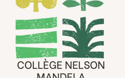 Image du projet Nelson Mandela Vert- Doujani