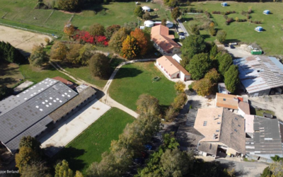 Image du projet Séjour "classe découverte" activités équestres et foretières