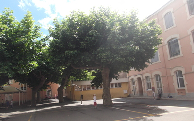 Image du projet Comédie musicale des élèves de CM2 de l'école de Bédarieux