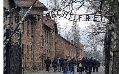 Image du projet Voyage mémoriel à Auschwitz-Birkenau