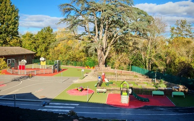 Image du projet Les écureuils en forêt