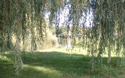 Image du projet Autour des marais de RUE, aire éducative