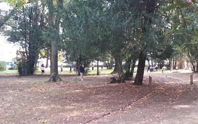 Image du projet Une Aire Terrestre Éducative à Avignon : Campo Bello