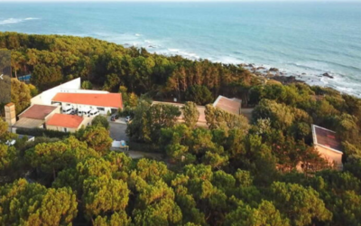 Image du projet A la découverte de la Vendée pour les écoliers du Parc