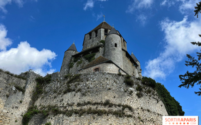 Image du projet Les CE2, CM1 et CM2 partent à Provins !