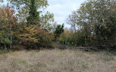Image du projet Une Aire terrestre éducative impulsée par les élèves de Loubressac