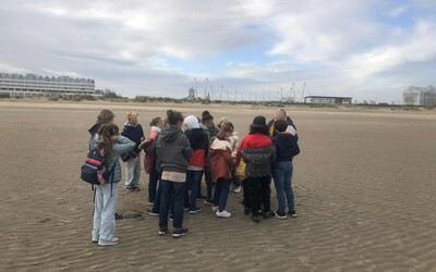 Image du projet Aire éducative - SAUVONS LA MER