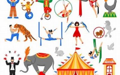 Image du projet Entrez dans notre cirque où tout est magique!