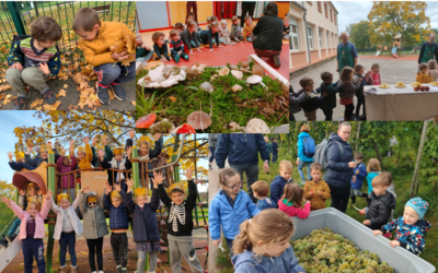 Image du projet Toute l'école maternelle Les Bains en classe Nature à Stosswihr