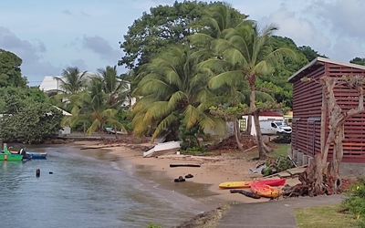 Image du projet Les CM1 de st Joseph du Moule gèrent une AME