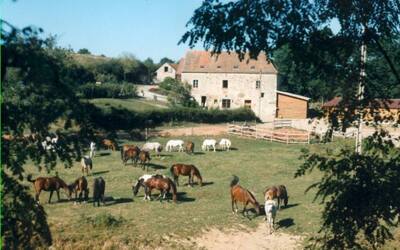 Image du projet La classe de CE1/CE2 de Magny-cours en classe équitation