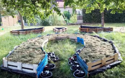 Image du projet Création d'un jardin pédagogique