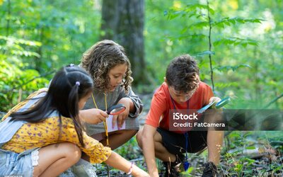 Image du projet Séjour nature des CP et CP/CE1