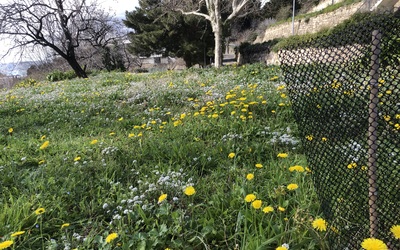 Image du projet ATE: Le sentier nature de Saint Ex