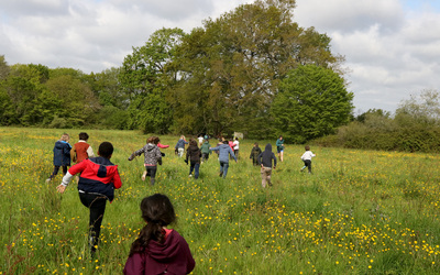 Image du projet ATE Ecole de l'Ille - Le Bosquet du Châtaignier Enroulé