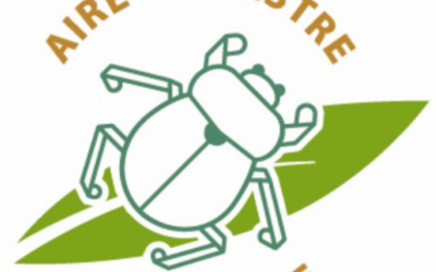 Image du projet Une Aire Terrestre Educative gérée par les CE2 de l'école Les Renards de Fontenay-aux-Roses