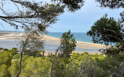 Image du projet Mirabeau à La Franqui : une classe découverte pleine d'énergie !