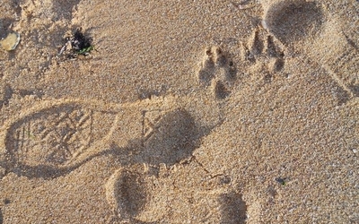 Image du projet Les CM2 de Ducerceau en classe de mer 2026