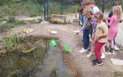 Image du projet Une Aire Terrestre Educative pour l'école Saint Jean le Baptiste à Valréas (Ecole-dehors) !