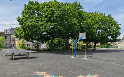 Image du projet Aire éducative terrestre des CE2 de l'école élémentaire LE COLOMBIER