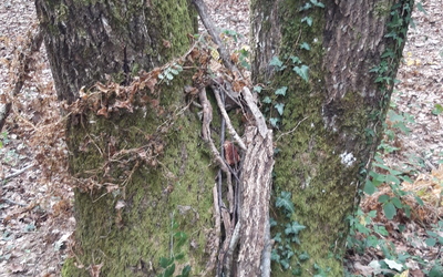 Image du projet Une ATE à Saint-Nauphary au ryhtme des saisons