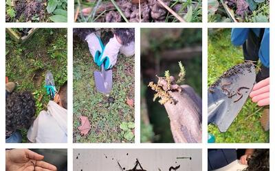 Image du projet ATE Ecocitoyens: agir ensemble ! CREGY-LES-MEAUX 6ème/5ème et lycéens