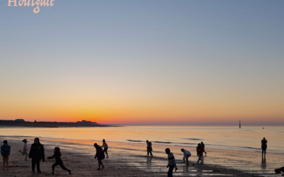 Image du projet Tous à la mer