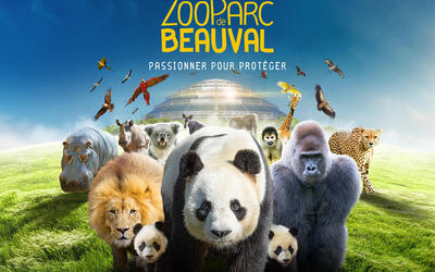 Image du projet Les élèves de l'ADAPEI de la Meuse en séjour à Beauval 