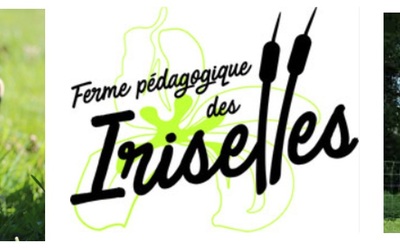 Image du projet Les p'tits citadins à la ferme