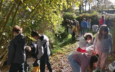 Image du projet Le Ruisseau de la Coulée du Bourg suit son chemin
