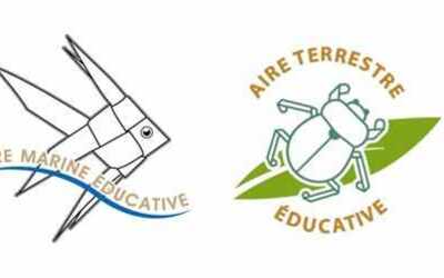 Image du projet ATE de l'École Primaire de Touët-sur-Var