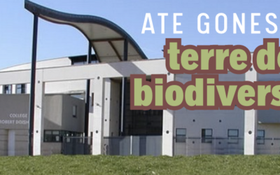 Image du projet ATE Gonesse : Terre de Biodiversité