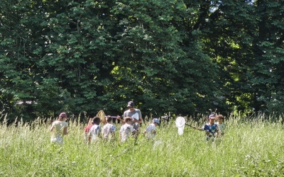 Image du projet Une Aire Terrestre Educative (ATE) au coeur de la ville